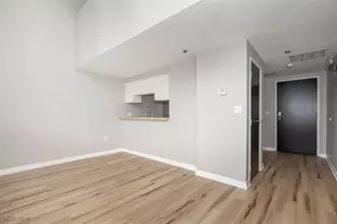 1133 W 9th St, Loveland, OH 44113 - Photo 6