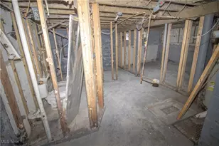 10406 Dove Ave, Loveland, OH 44105 - Photo 10