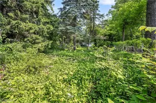 3396 Mayfield Rd, Cleveland Heights, OH 44118 - Photo 48