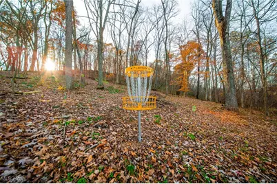 10229 Township Road 67, Killbuck, OH 44637 - Photo 30