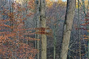 247 Township Road 306, Hammondsville, OH 43930 - Photo 50