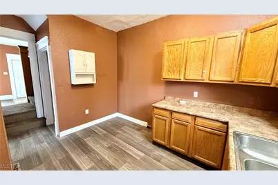 317 Para Avenue, Akron, OH 44305 - Photo 8