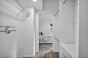 828 Nela View Rd, Loveland, OH 44112 - Photo 22