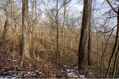 169 Kinderhook Ridge Road, Newport, OH 45768 - Photo 14