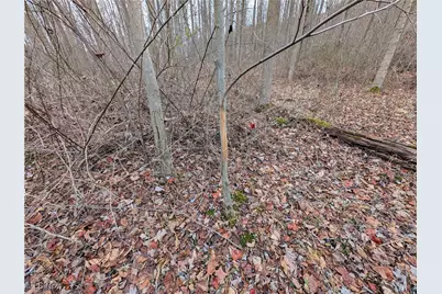 Thwing Road, Chardon, OH 44024 - Photo 16