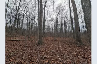 Thwing Road, Chardon, OH 44024 - Photo 2