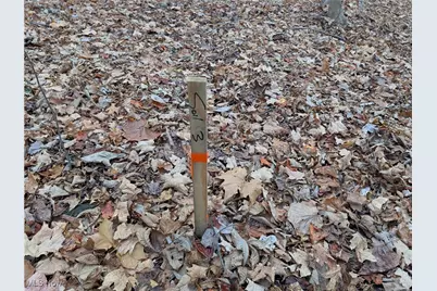 Thwing Road, Chardon, OH 44024 - Photo 8