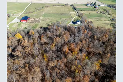 11890 Black River School Road, Homerville, OH 44235 - Photo 6