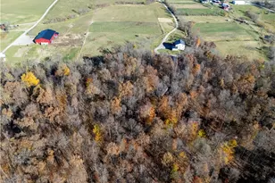 11890 Black River School Rd, Homerville, OH 44235 - Photo 6