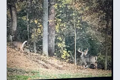 County Road 33 County Road 33, Warsaw, OH 43844 - Photo 16