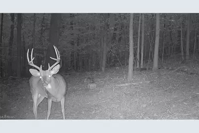 County Road 33 County Road 33, Warsaw, OH 43844 - Photo 14