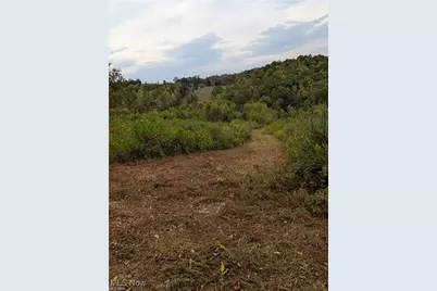 County Road 33 County Road 33, Warsaw, OH 43844 - Photo 6