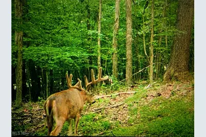 Tbd Tbd, Warsaw, OH 43844 - Photo 14