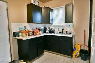 32 E Avondale Ave, Youngstown, OH 44507 - Photo 38