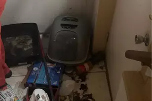 11909 Phillips Ave, Loveland, OH 44108 - Photo 24