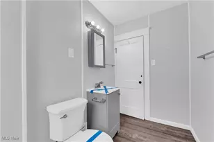 14117 Sylvia Ave, Loveland, OH 44110 - Photo 22