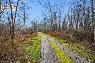 10018 Nichols Rd, Windham, OH 44288 - Photo 28