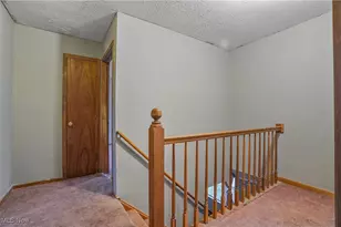 10018 Nichols Rd, Windham, OH 44288 - Photo 14