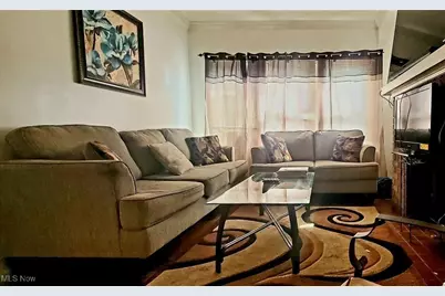 920 E 143rd Street, Loveland, OH 44110 - Photo 2