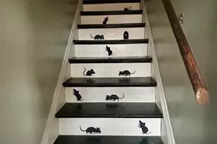 615 Wooster St, Marietta, OH 45750 - Photo 12