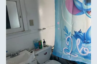 12313 Rexford Avenue, Loveland, OH 44105 - Photo 20