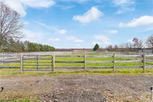 2941 Vandemark Rd, Litchfield, OH 44253 - Photo 28