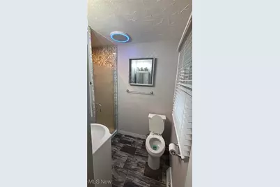 1161 Magdalyn Drive, Akron, OH 44320 - Photo 10