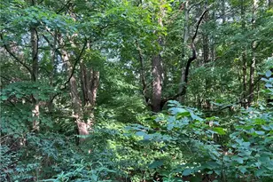 60570 Township Rd 104, Newcomerstown, OH 43832 - Photo 16