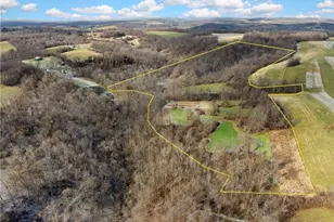 1335 Township Rd 129, Adena, OH 43901 - Photo 40