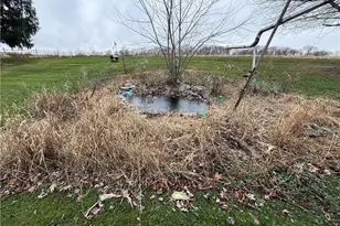 42908 State Route 154, Lisbon, OH 44432 - Photo 38