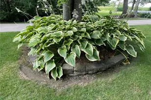 5001 S Jefferson Rd, Shreve, OH 44676 - Photo 48