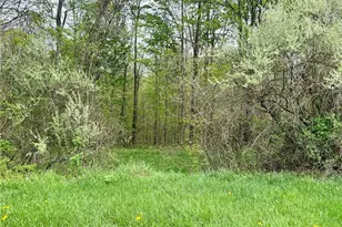 6550 N State Route 78 NE, McConnelsville, OH 43756 - Photo 14