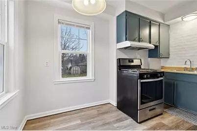 244 E Catawba Avenue, Akron, OH 44301 - Photo 8