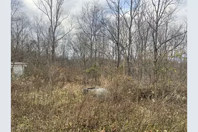 231 & 265 Big Oak Road, Malta, OH 43787 - Photo 2