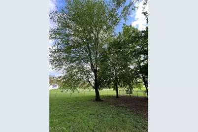 805 Utica Avenue, Akron, OH 44312 - Photo 6