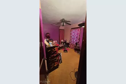 10704 Woodland Avenue, Loveland, OH 44104 - Photo 12