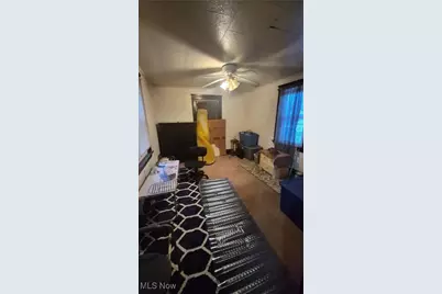 10704 Woodland Avenue, Loveland, OH 44104 - Photo 10