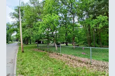 V/L Marion Avenue, Mogadore, OH 44260 - Photo 2