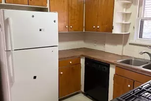 295 Goodview Ave, Akron, OH 44305 - Photo 6