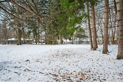 Burbank Avenue, Akron, OH 44305 - Photo 26