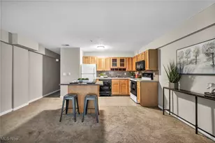 2222 Detroit Rd, Loveland, OH 44113 - Photo 16