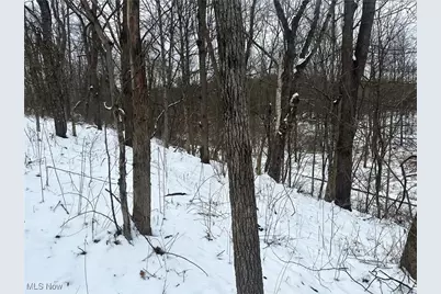 8765 Whitaker Road, Cambridge, OH 43725 - Photo 16