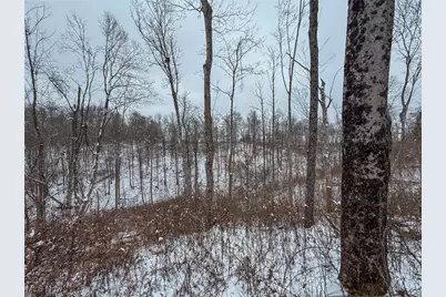 10185 State Rt 376, McConnelsville, OH 43756 - Photo 22