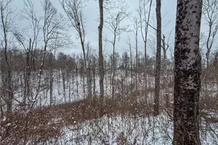 10185 State Rt 376, McConnelsville, OH 43756 - Photo 22