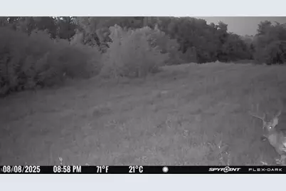 10185 State Rt 376, McConnelsville, OH 43756 - Photo 30