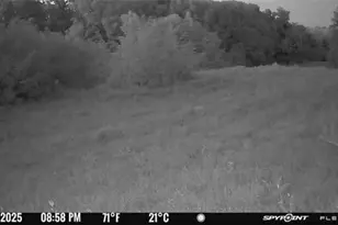 10185 State Rt 376, McConnelsville, OH 43756 - Photo 30