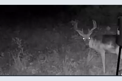 10185 State Rt 376, McConnelsville, OH 43756 - Photo 44