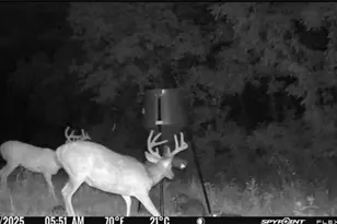 10185 State Rt 376, McConnelsville, OH 43756 - Photo 36