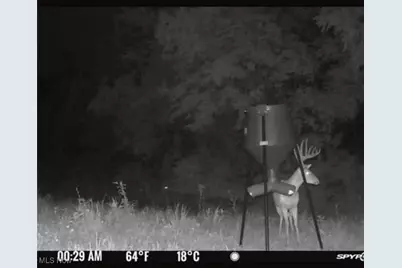 10185 State Rt 376, McConnelsville, OH 43756 - Photo 34