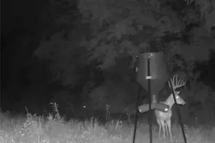 10185 State Rt 376, McConnelsville, OH 43756 - Photo 34